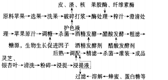 苹果醋酸发酵饮料.png