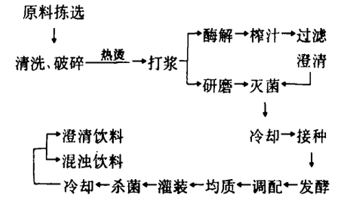 灭菌型产品工艺流程.jpg
