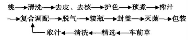 车前草.png