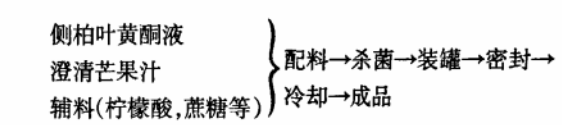 侧柏.jpg