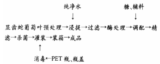 显齿蛇葡萄.jpg
