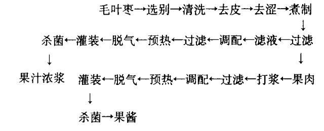 毛叶枣.jpg