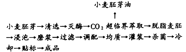小麦胚芽.png
