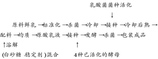 奶啤.jpg