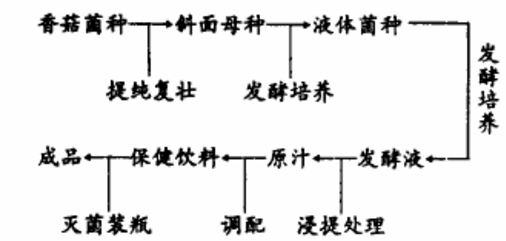 香菇风味保健饮料的研究.jpg