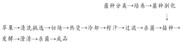 苹果乳酸菌饮料的研制.jpg