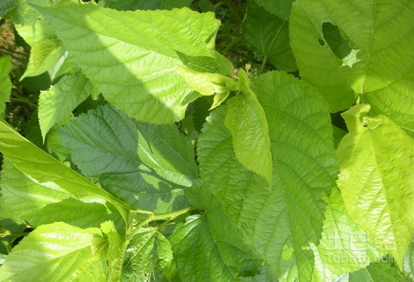 20150409_56b6d83f2ae2c98d67d3hFaZOVzifPBH.jpg